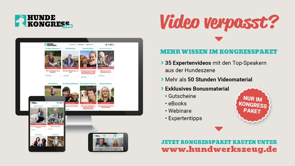 Video verpasst?