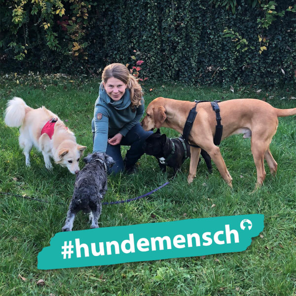 Hundemensch Merit Rass