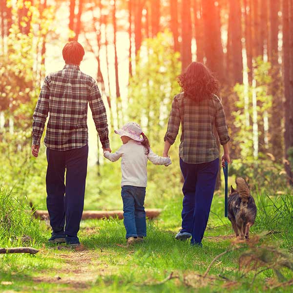 Hunde in der Familie - Vorteil oder Gefahr?