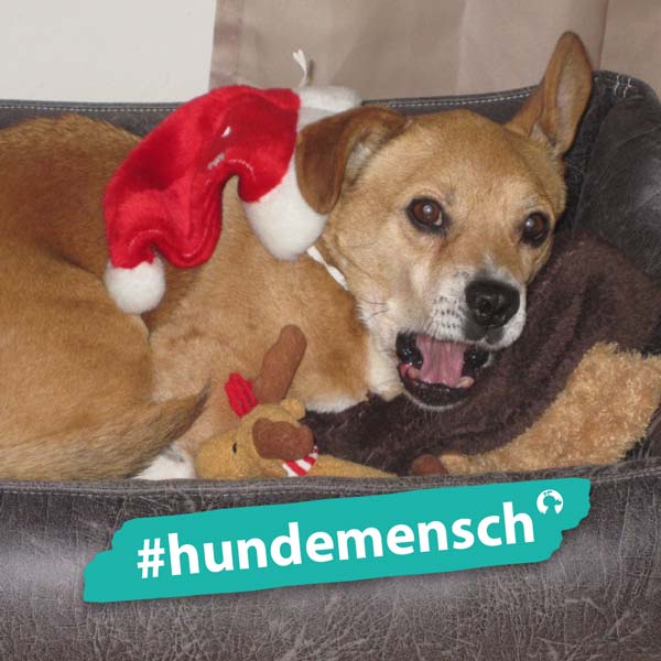 Hundemensch Eva