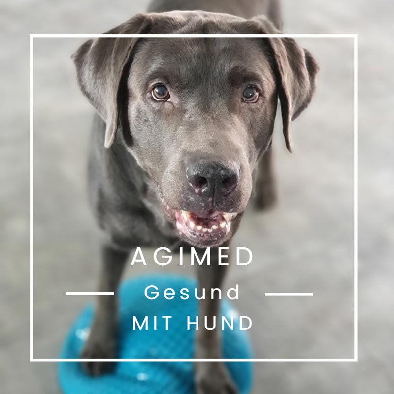 Podcast: Agimed - Gesund mit Hund