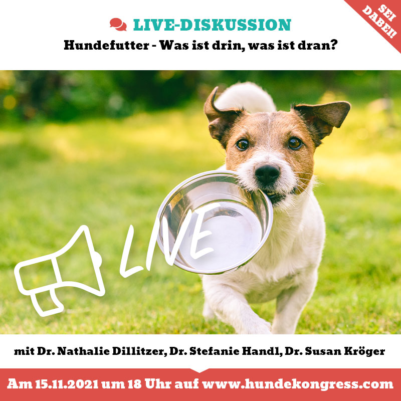 Live-Diskussion Hundefutter