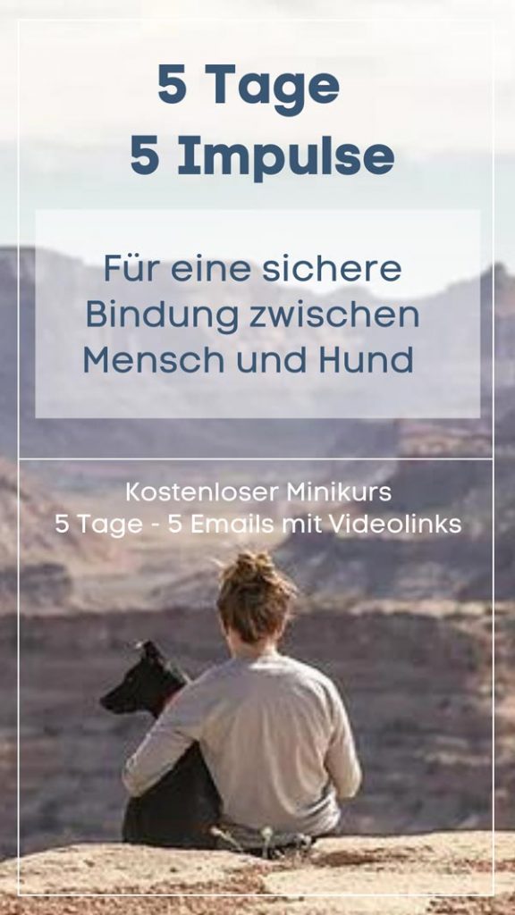 5-Tage-Minikurs Grenzenlose Bindung