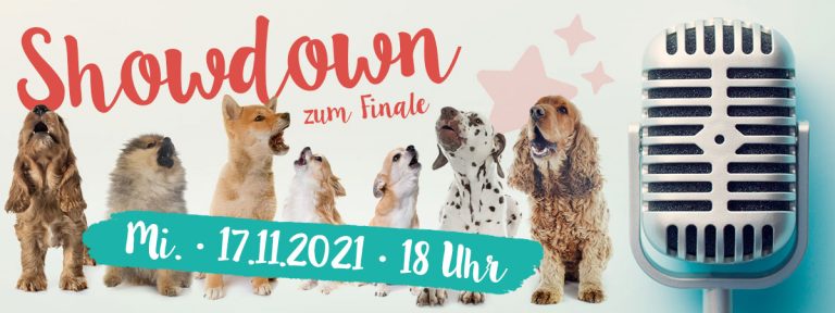 Showdown zum Finale