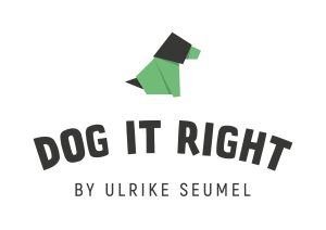 Dog it right