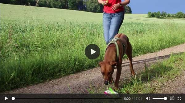 Trainingsvideo "Nix da" von Sonja Meiburg