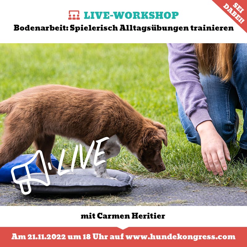 Live-Workshop: Bodenarbeit mit Carmen Heritier