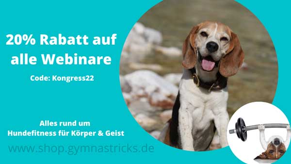 20% auf alle Webinare