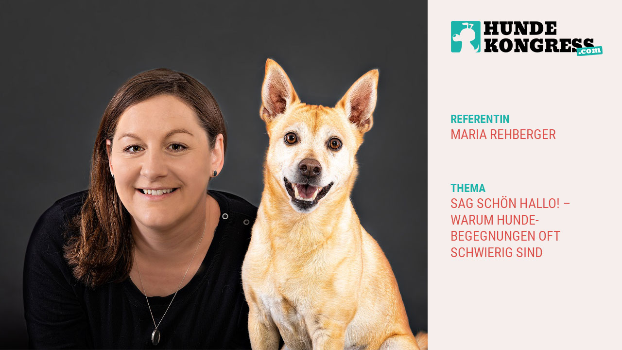 Maria Rehberger: Sag schön Hallo! - Warum Hundebegegnungen oft schwierig sind