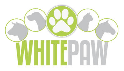 White Paw