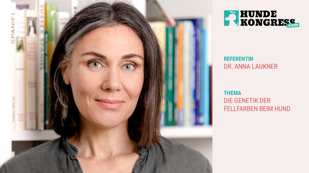 Dr. Anna Laukner: Die Genetik der Fellfarben beim Hund