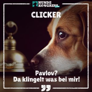 Hundewissen von A-Z: C wie Clicker