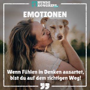 Hundewissen von A-Z: E wie Emotionen