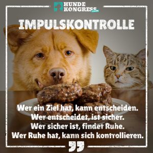 Hundewissen von A-Z: I wie Impulskontrolle