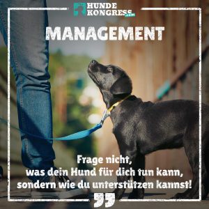 Hundewissen von A-Z: M wie Management