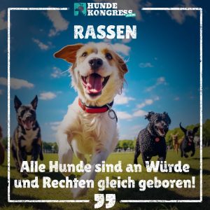 Hundewissen von A-Z: R wie Rasse