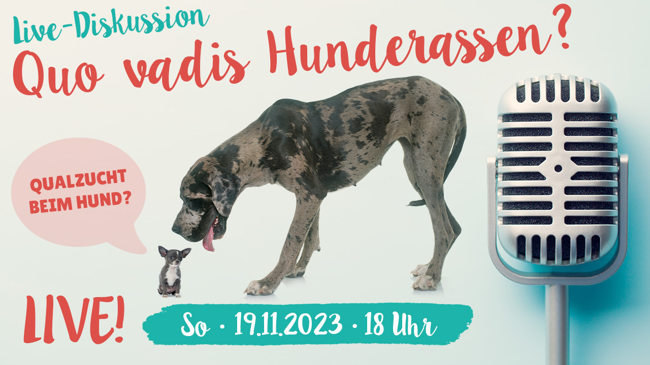 Live-Diskussion "Quo vadis Hunderassen?"