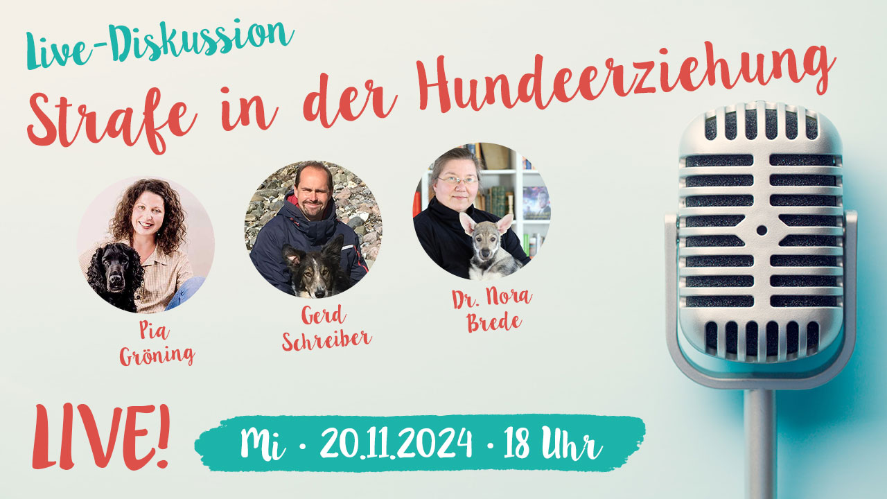 Live-Diskussion: Strafe in der Hundeerziehung