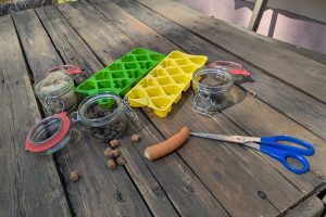 Eiswürfelsuche für Hunde: Das braucht man.