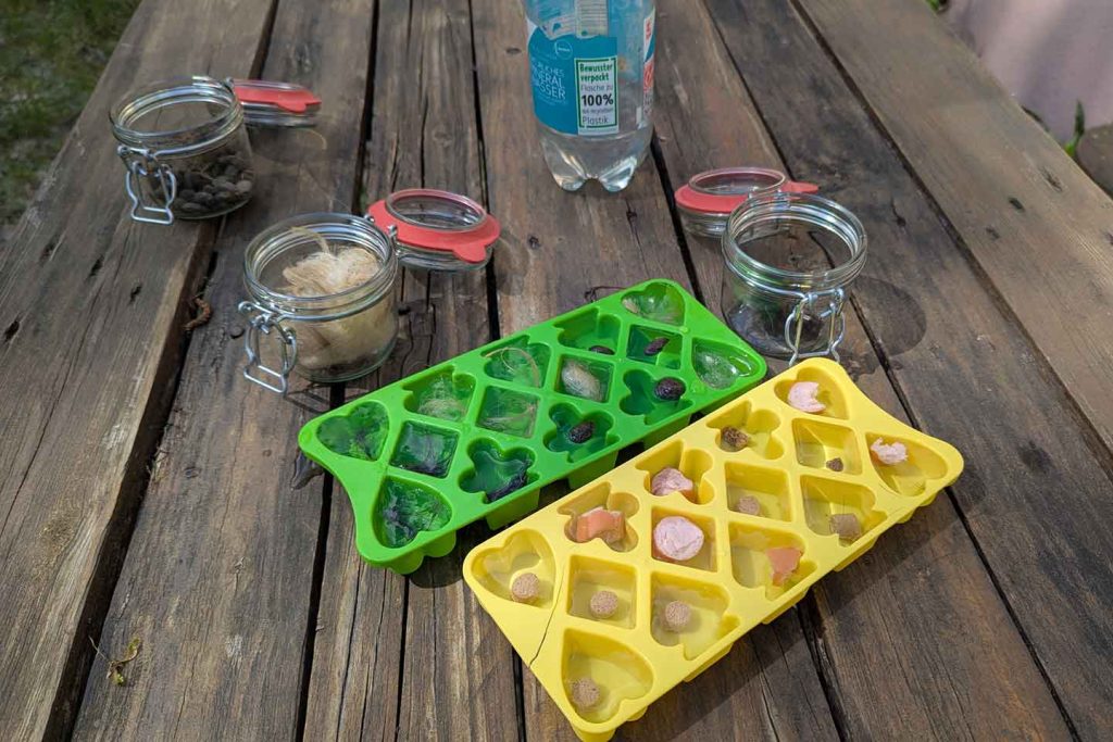 Eiswürfelsuche für Hunde: Geruchsproben vorbereiten
