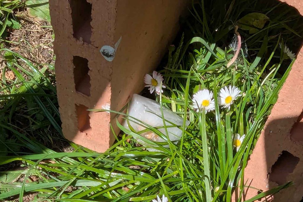 Eiswürfelsuche für Hunde: Eiswürfelversteck im Suchgebiet.