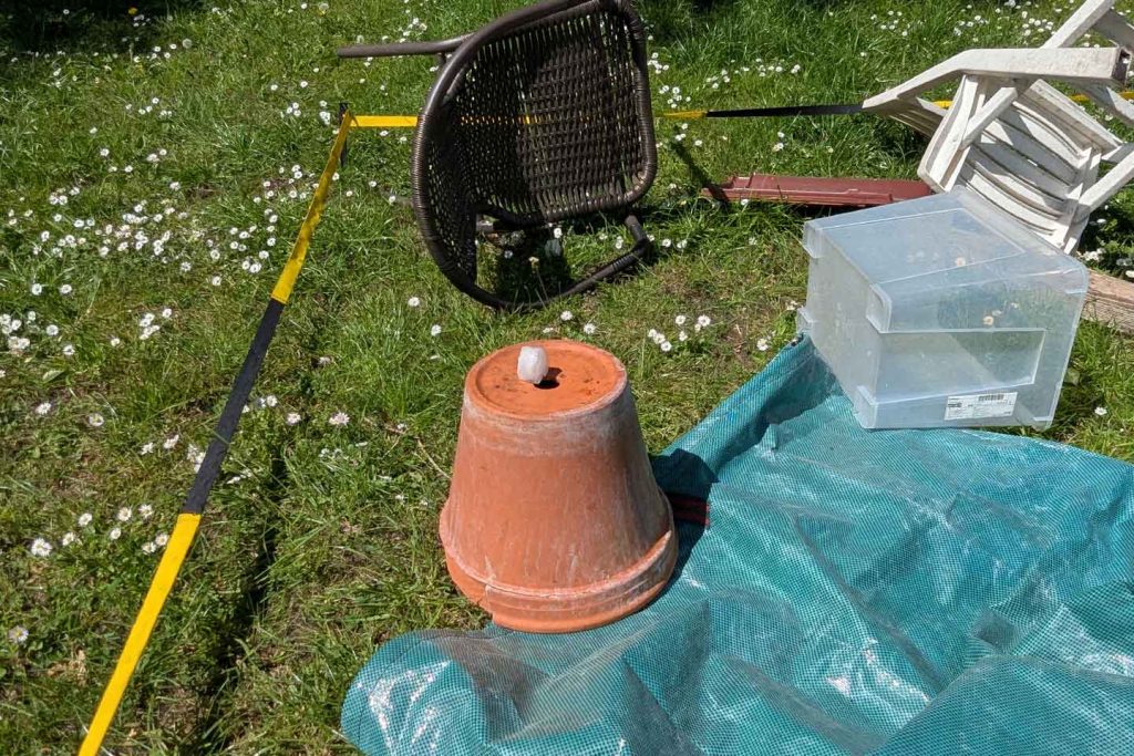 Eiswürfelsuche für Hunde: Die Beute darf natürlich genüsslich weggeknabbert werden.