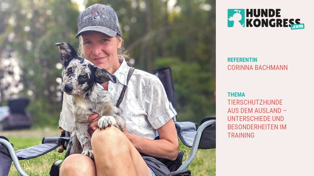 Corinna Bachmann: Tierschutzhunde aus dem Ausland – Unterschiede und Be