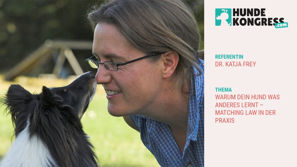Dr. Katja Frey: Warum dein Hund was anderes lernt – Matching Law in der Praxis