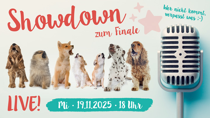 Finale: Showdown zu Hundekongress 2025