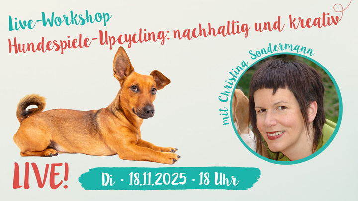 Live-Workshop: Hundespiele-Upcycling