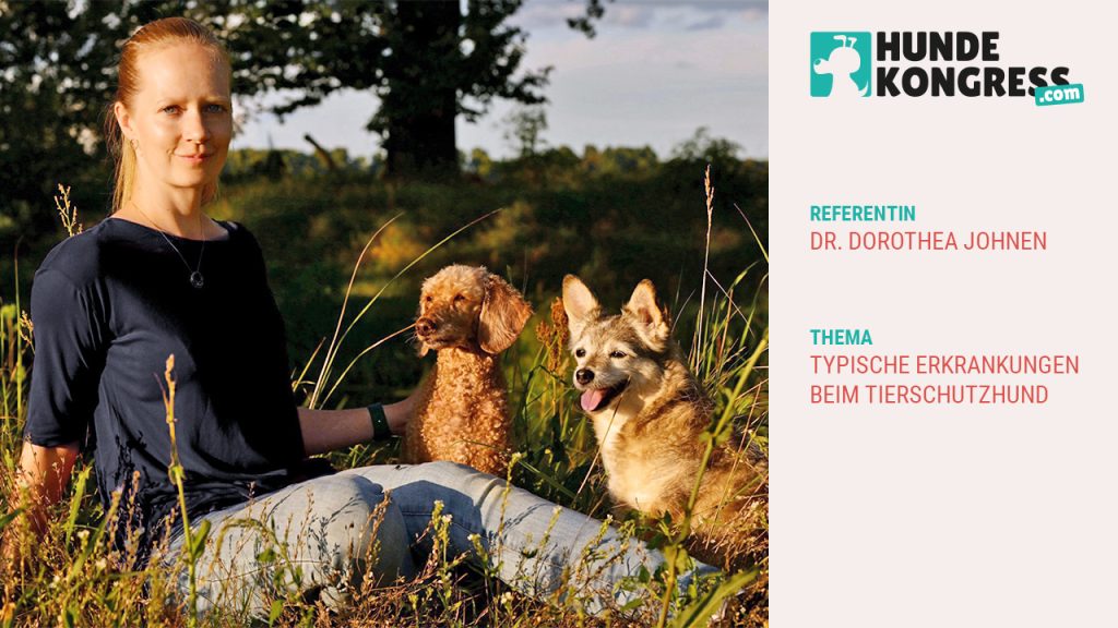 Dr. Dorothea Johnen: Typische Erkrankungen beim Tierschutzhund