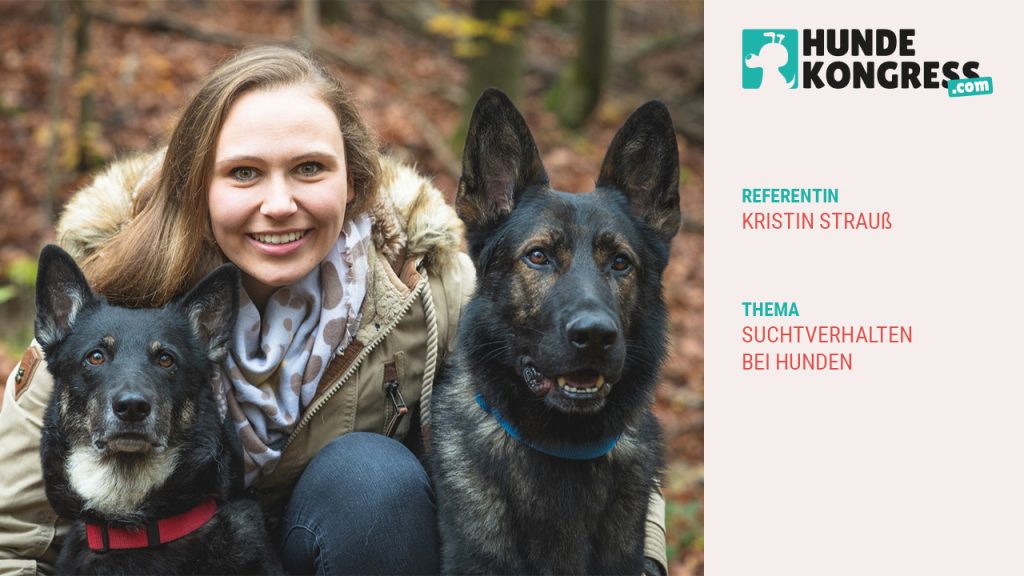 Kristin Strauß: Suchtverhalten bei Hunden