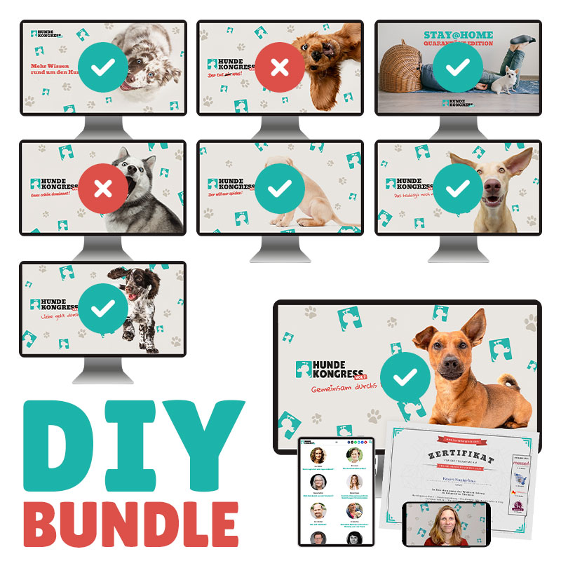 DIY Kongress-Bundle