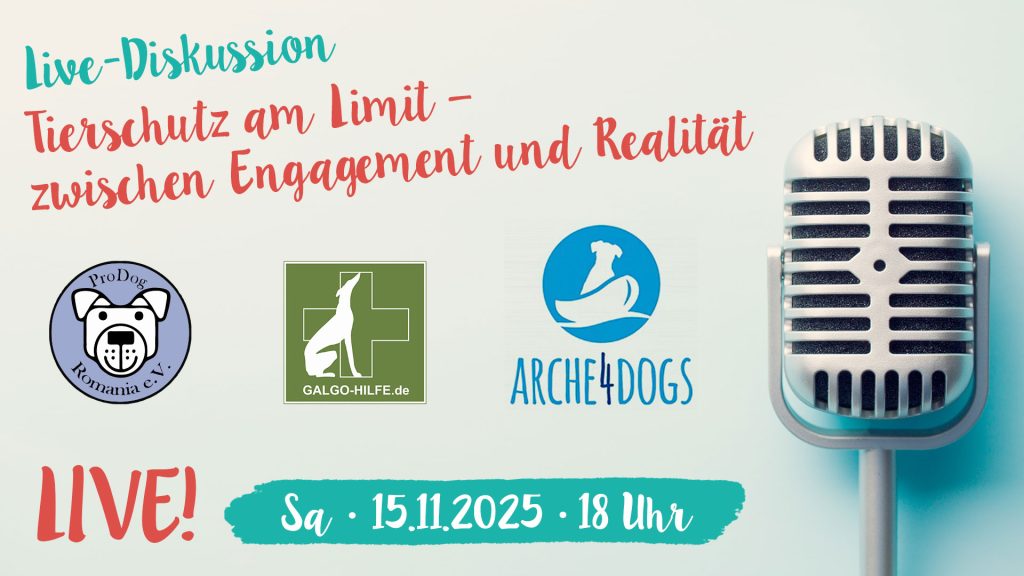 Live-Diskussion: Tierschutz am Limit