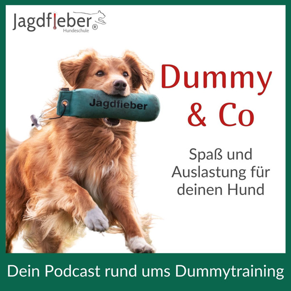 Podcast: Dummy und Co