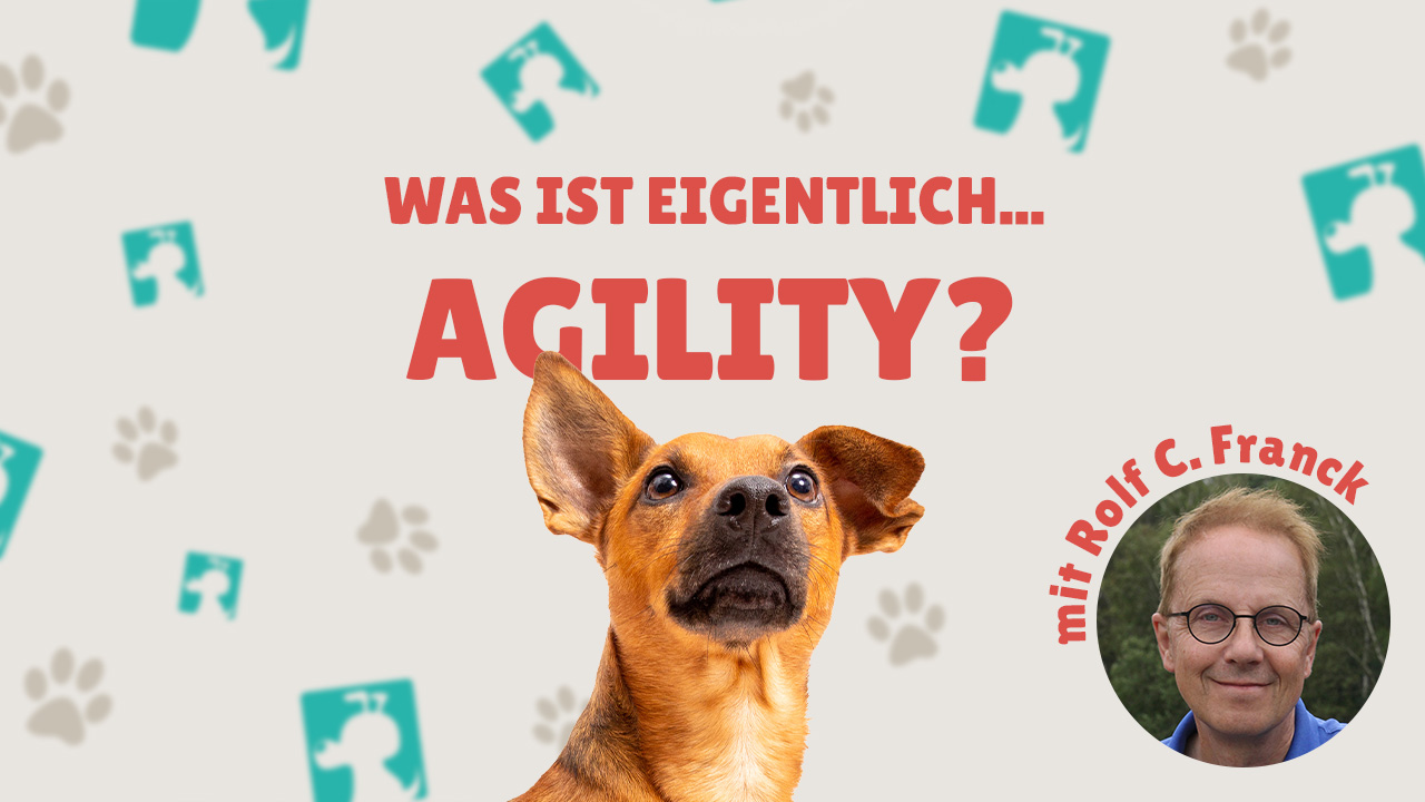 Was ist eigentlich Agility?