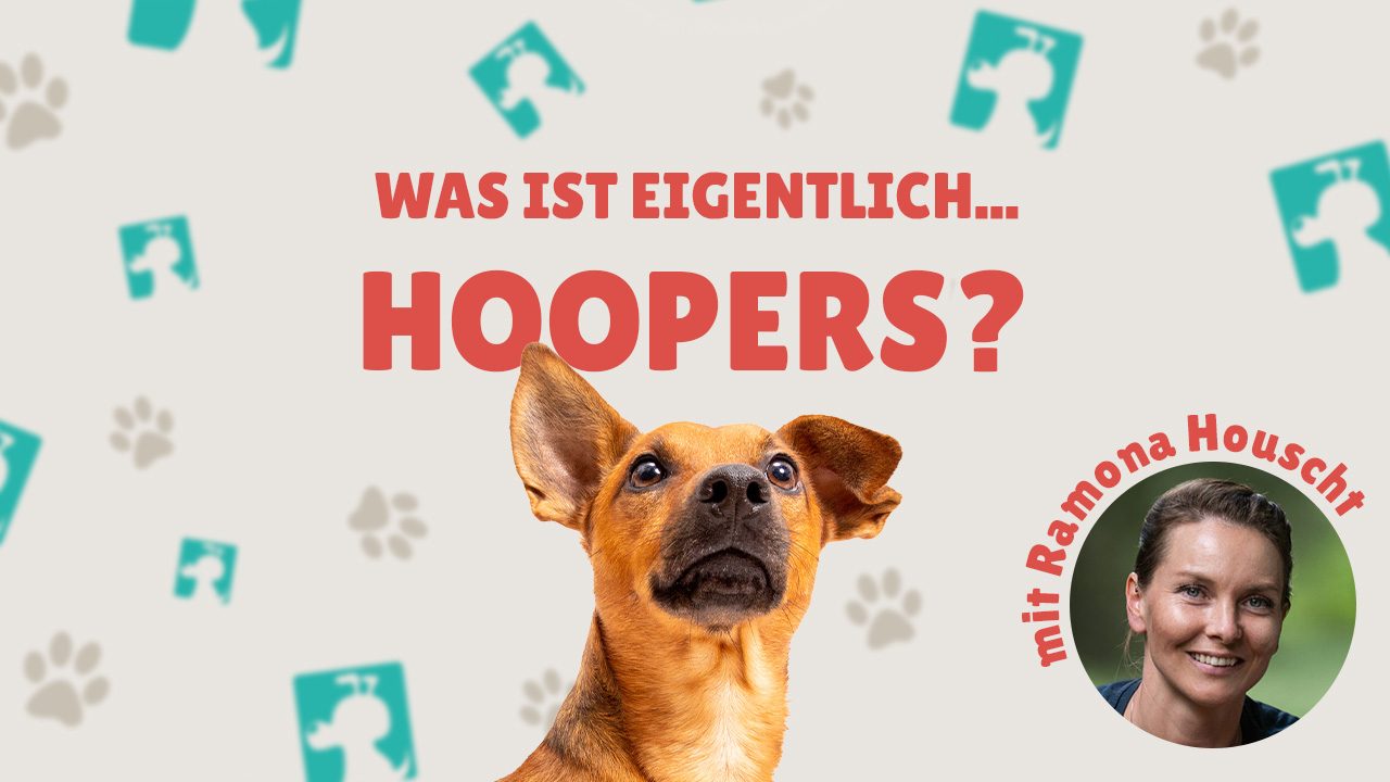 Was ist eigentlich Hoopers?