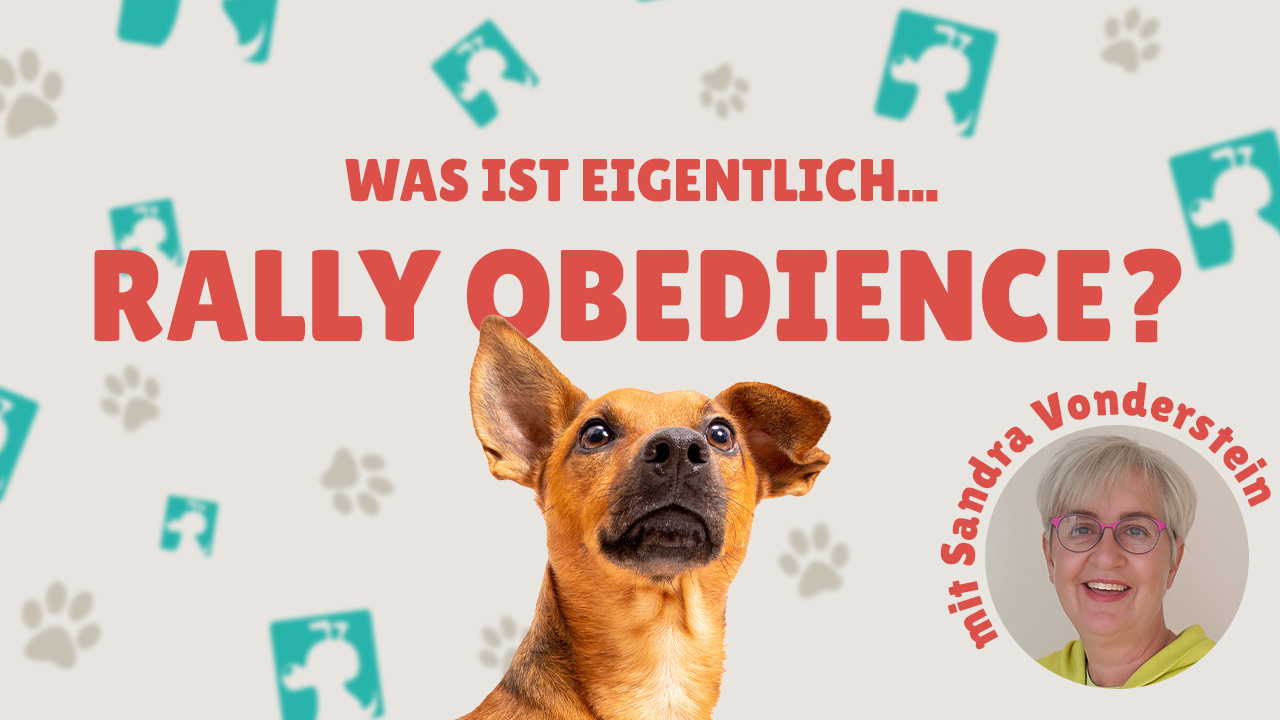 Was ist eigentlich Rally Obedience?