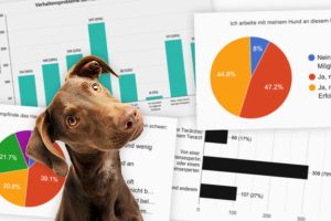 Verhaltensprobleme bei Hunden: Umfrageergebnisse