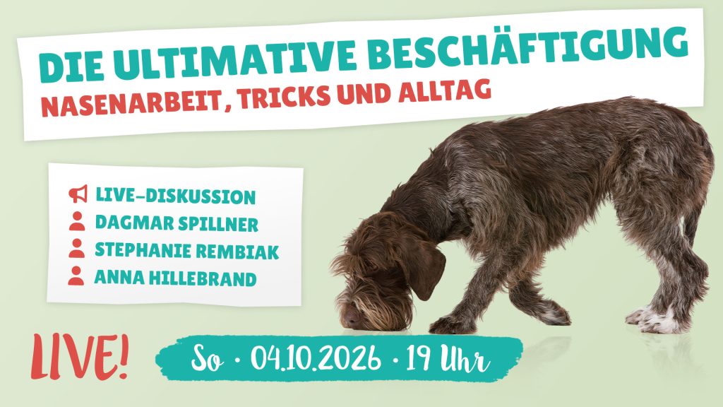 Live-Diskussion: Die ultimative Beschäftigung