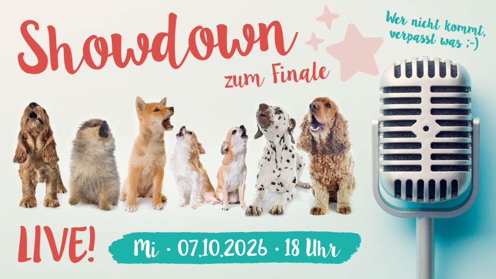Finale: Showdown zu Hundekongress 2026